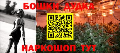 МДПВ Пушкино