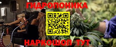 МДПВ Пушкино