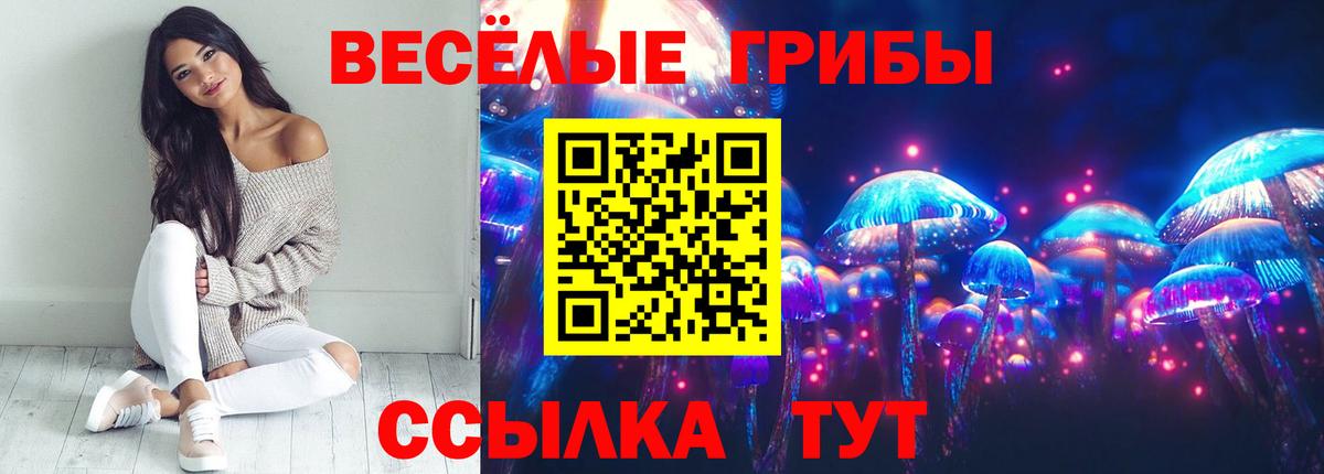 Сибай  Псилоцибиновые грибы прущие грибы  Вход с VPN 